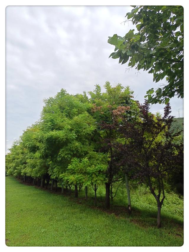 古镇秋游&太行德明