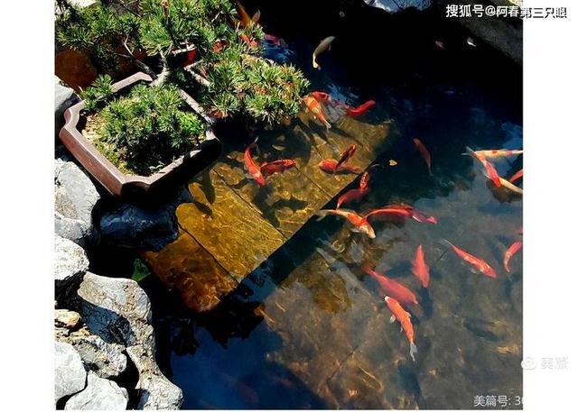 看杭州之 良渚玉鸟集