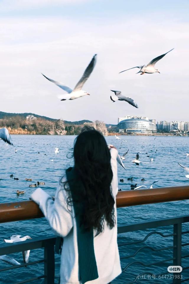 周末就冲！成都出发40min直达浪漫小城，喂海鸥逛古寺！