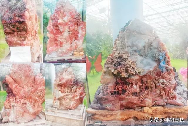 愉悦心情身体健——随“中供社”组团游览“熱代万果园”偶感