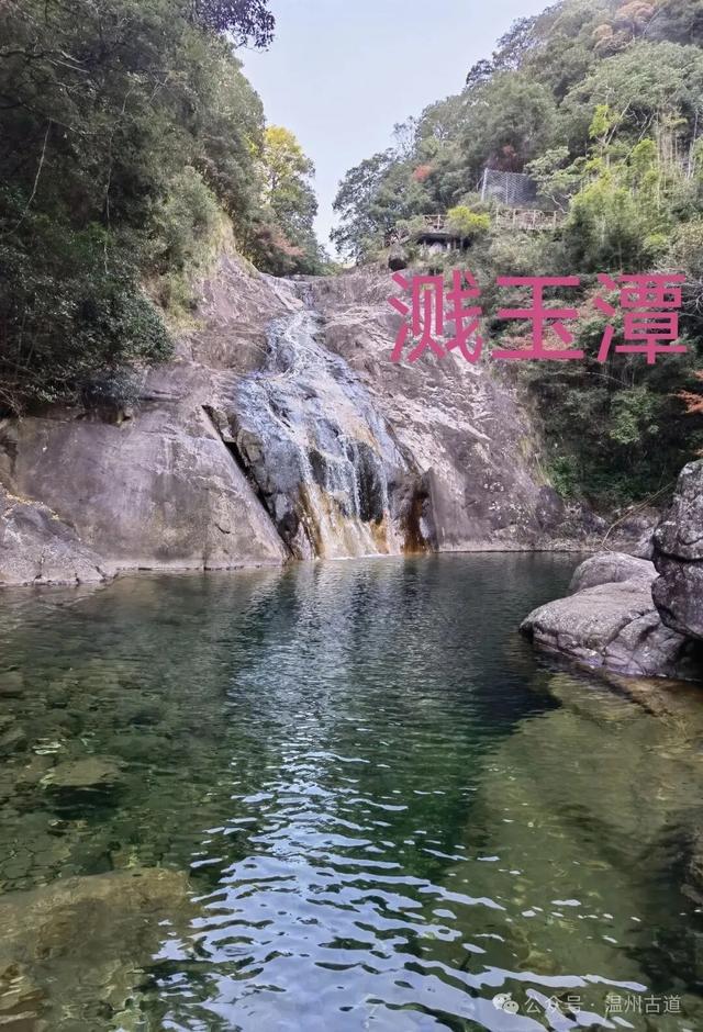 温州这个国家森林公园藏着深秋醉美的秋色,你可去过?