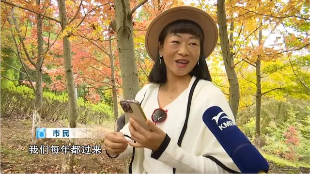 200亩枫海,11月初红艳上线!快来这里赏 “秋日大片”~