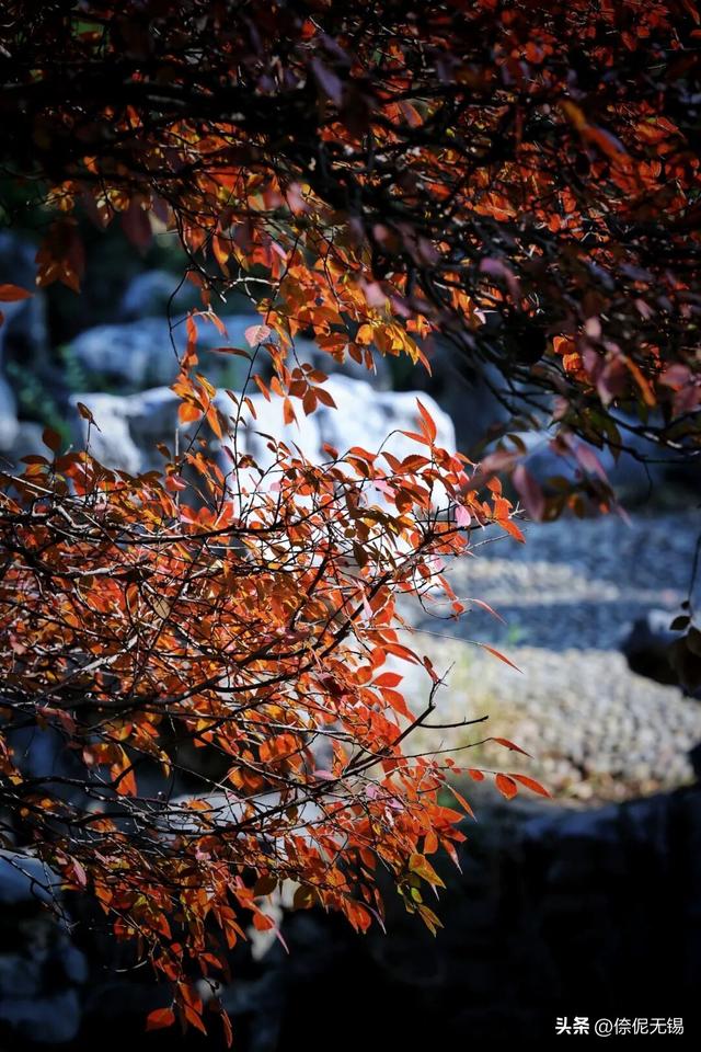 拥堵预警！这周末大家都去......