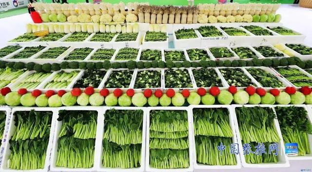 张掖：幸福城 幸福事