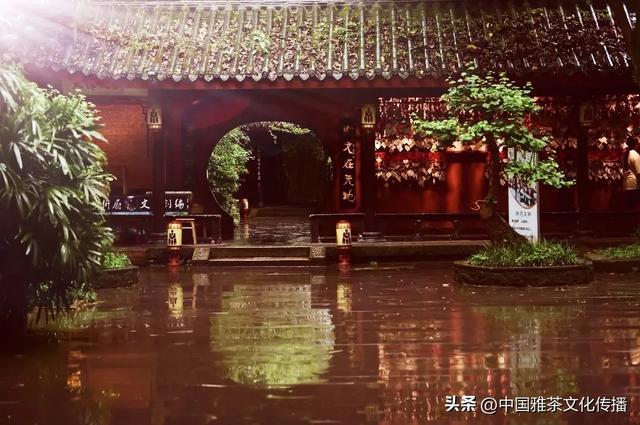 千缕茶香飘金砂,临窗赏景任风流