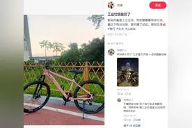 都说凤凰自行车是工业垃圾！不听！偏要买！图片