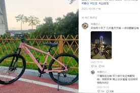 都说凤凰自行车是工业垃圾！不听！偏要买！图片