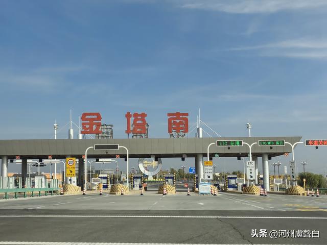 金塔胡杨林