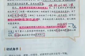 五年级下册语文，第五单元《语文园地五》笔记+解析+单元知识小结图片