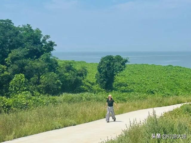 五家唯美海宿，住进大连的海风里