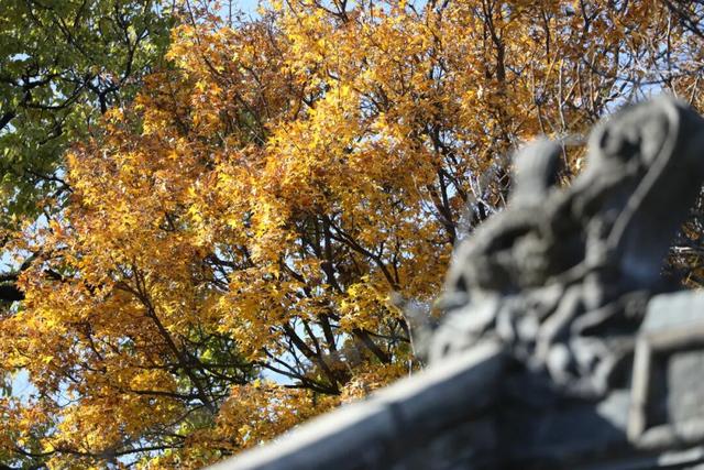 避开人从众！门头沟这里的秋，人少景美，一秒治愈！