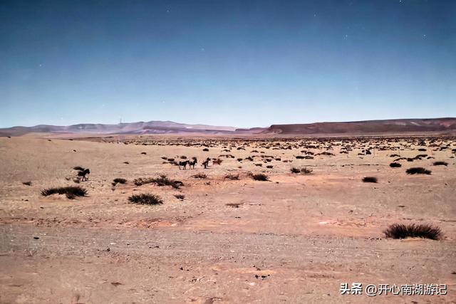 喀什经317到成都，民丰-改则，穿800里无人区，海拔从1500到5400