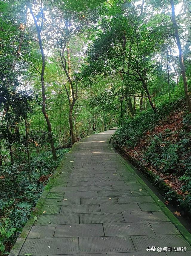 成都难得的清凉徒步胜地，在都江堰隔壁，不要门票，超级凉爽。