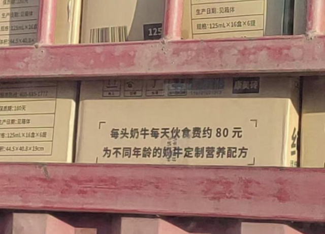 看见直播间里种树，年轻人就走不动道了