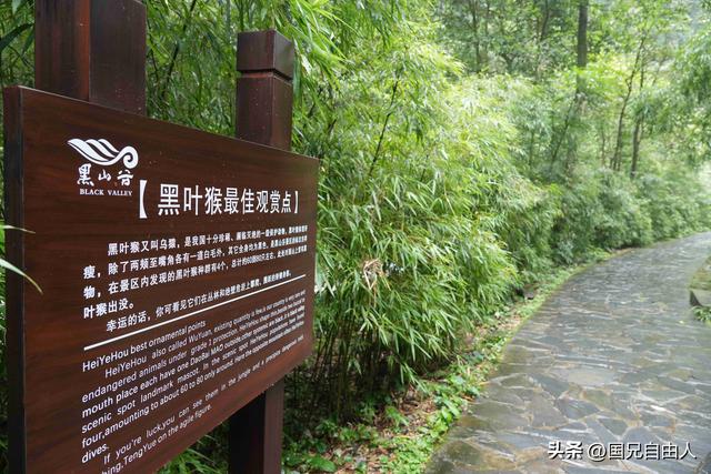 “渝黔生物基因库”黑山谷游记