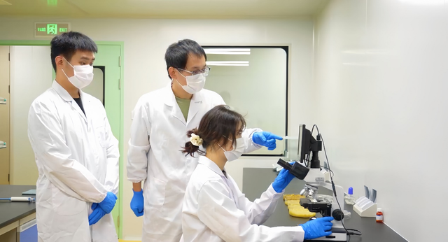 年近10亿吨秸秆何去何从 中农秸美“三组分分离”给出“中国答案”