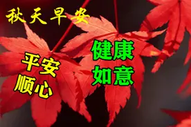 中老年专属动态表情包图片