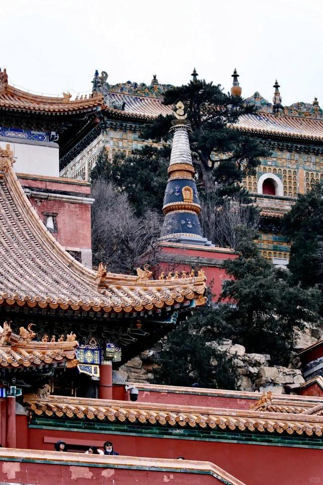 2026年第一场雪！颐和园美成了“雪中冰嬉图”