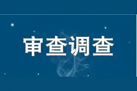 山东一县公安局治安管理大队长被查 2年前同岗位已获刑4年8个月图片