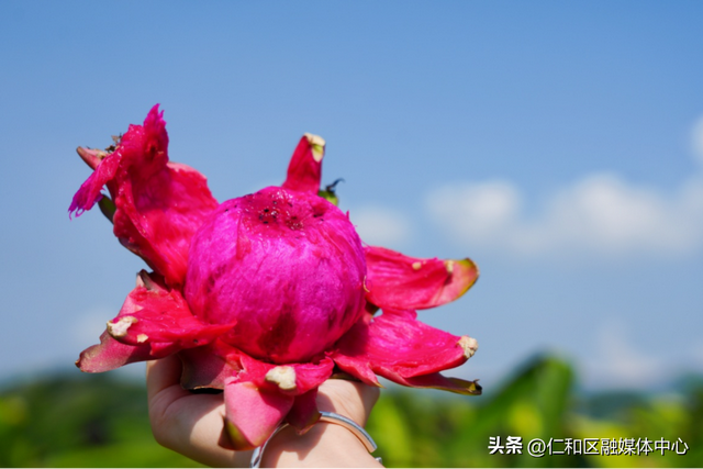 节气仁和 | 立秋来信，仁和的仪式感从不迟到