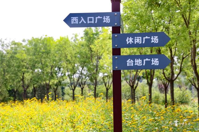 前人栽树后人乘凉!这儿还是您熟悉的衙门口吗?