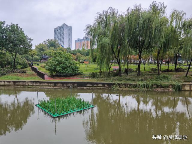 云梦生态浮岛的三重奏