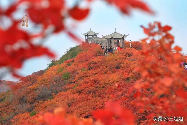 中原红叶的巅峰之作，空气都是红的