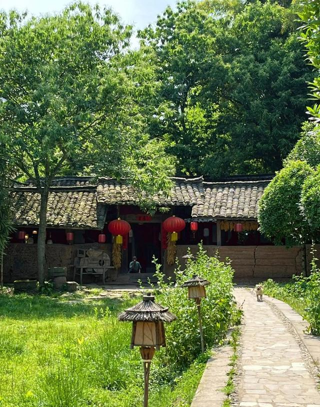 老来有个小院，心静如水，日子悠长