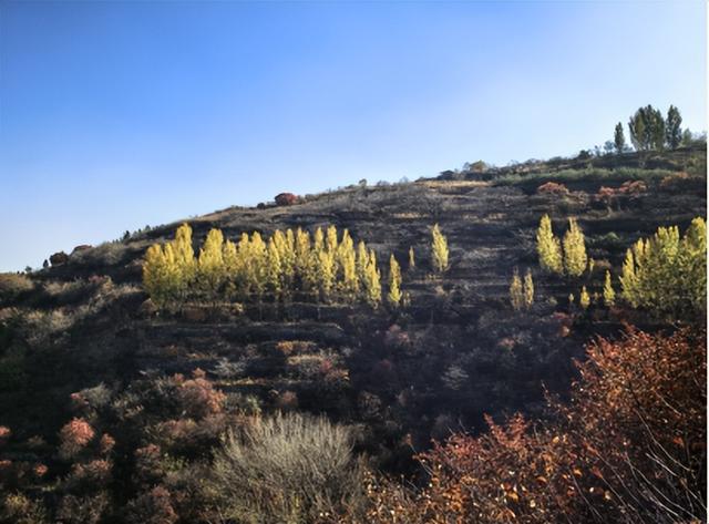 驴行信记：浪漫“赵家岭”