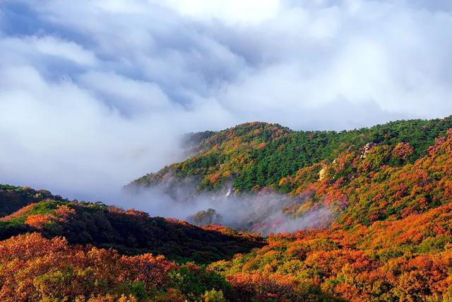 重阳节,在临沂这样过——9.9元景区特惠、赏菊、登高、祈福……