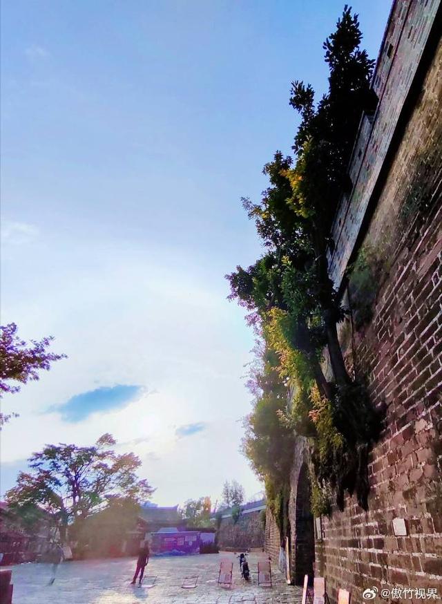 城门上奇葩的黄桷树 古城逆天了