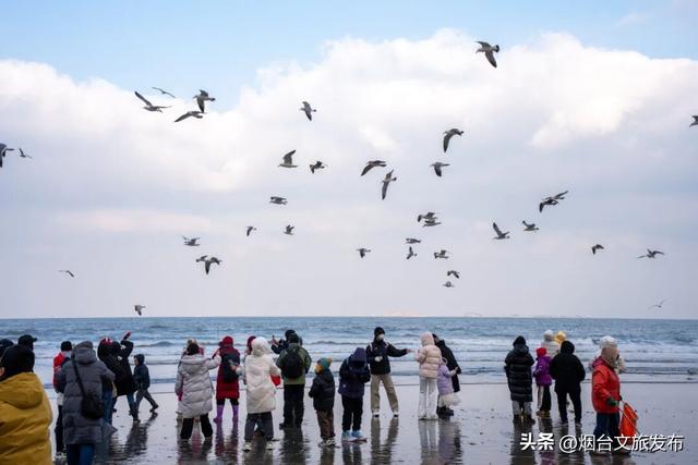 【乐游烟台】真不在北极！烟台“冰雪世界”最新实拍→