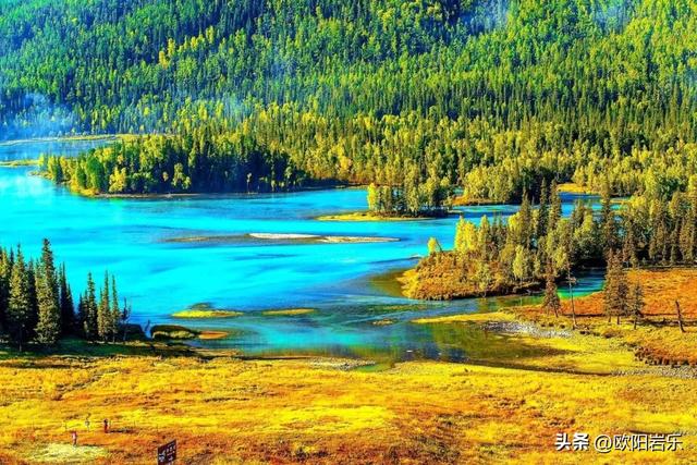 秋季的新疆，一草一木皆风景！