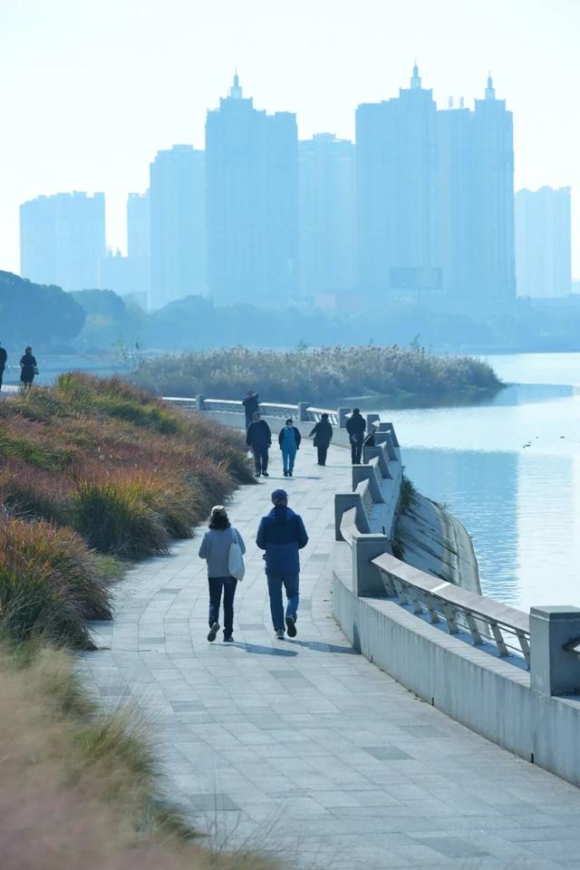 走，成都出发看“海鸥”！24分钟拢德阳，动车5分钟一趟说走就走