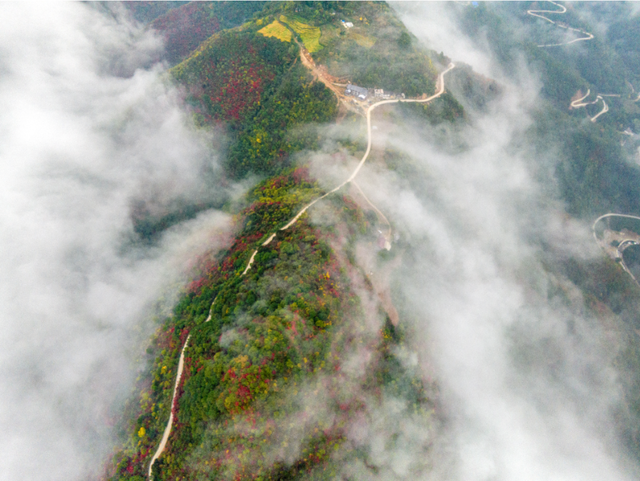 接下来的一个月，来汉中赏红叶就对了