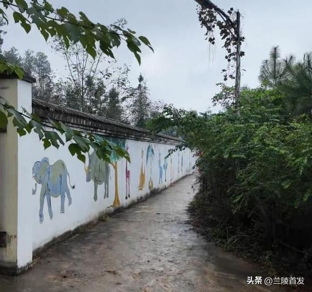 票价20元！最“寒酸”动物园火了！仅有一位七旬安徽宿州老人管理