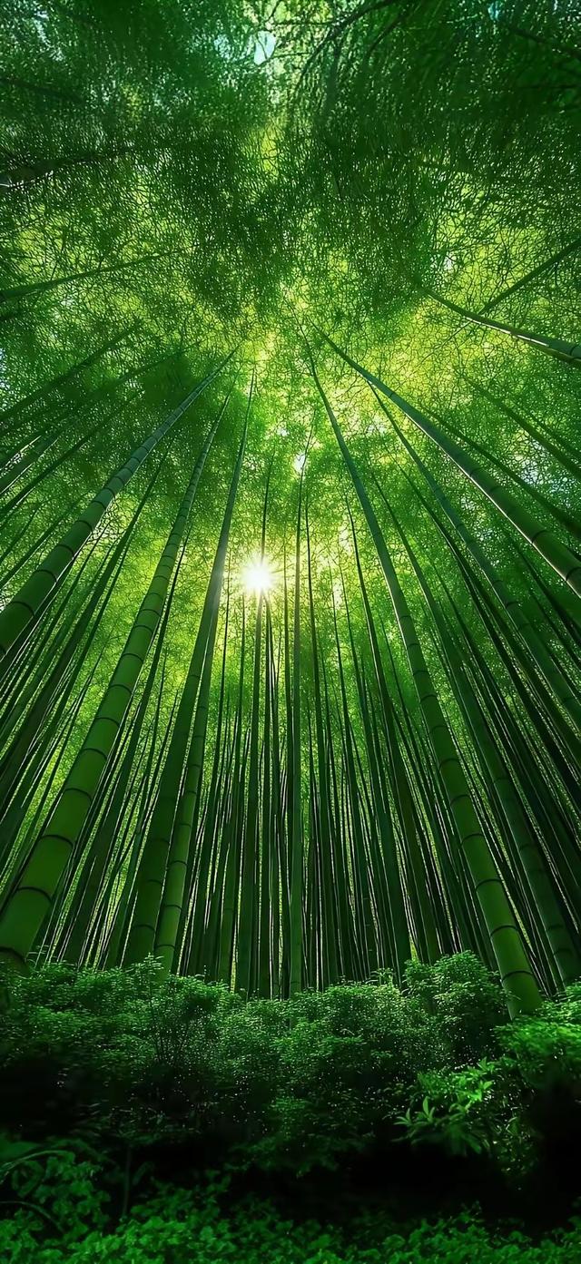 缁胯壊鎶ょ溂澹佺焊缇庡浘