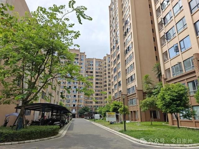 全省首个！崇州AI智慧治理平台上线