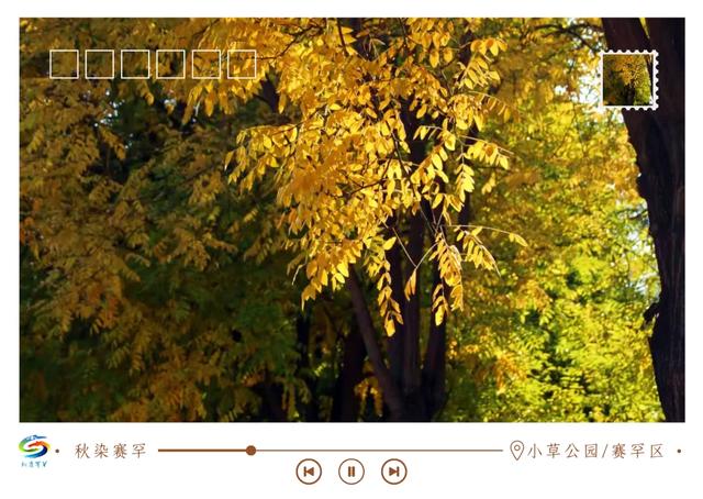 北疆文化 遇鉴赛罕 | 秋染赛罕明信片上线！快来“云”赏秋