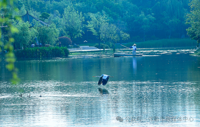 为何一到弥勒就快乐？答案揭晓…