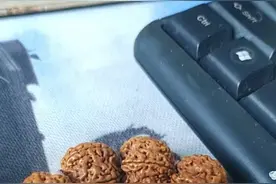 一入文玩深似海系列——（大金刚）图片