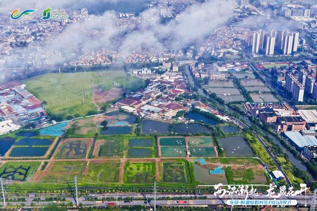 一站式轻度假！顺德首宗点状供地农文旅融合示范项目落地