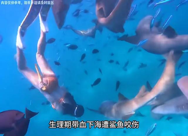 为拍网红照玩命,生理期潜水遭鲨咬还踩海胆