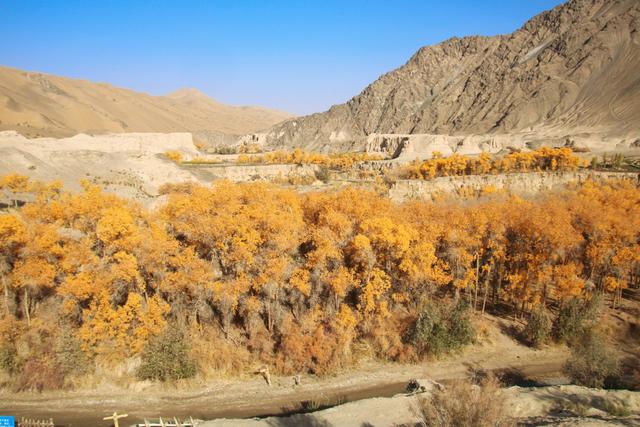 酒泉多坝沟胡杨峡，山势奇特，景色如画，隐藏着大西北的极致秋色