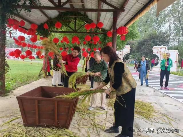 秋风起，帐篷支 | 在新洲遇见理想中的露营生活