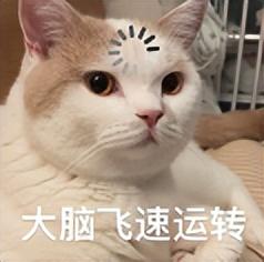 暴涨 600 万粉，现在的新晋网红，变样了...