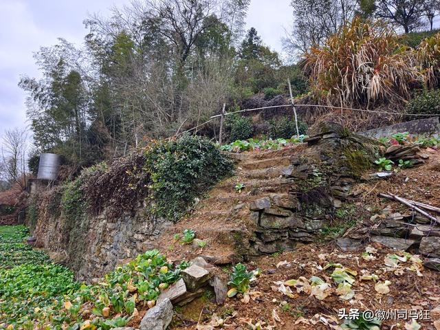 【行走徽州244】岔口：王茂荫、许球都曾在此求学，大洲源核心区