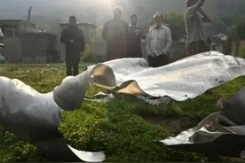 惊天空战！印巴125架战机激烈火拼1小时，巴总理放狠话！图片