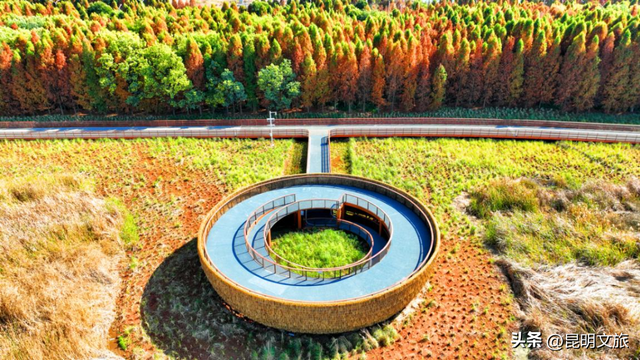 周末就冲！滇池边的骑行嘉年华来咯，持续报名中~