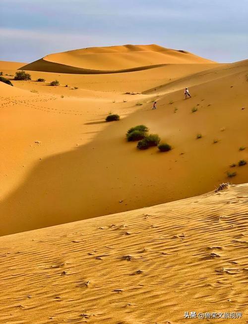 山河藏史诗，丝路续传奇：山西与河西走廊的双重旅行盛宴
